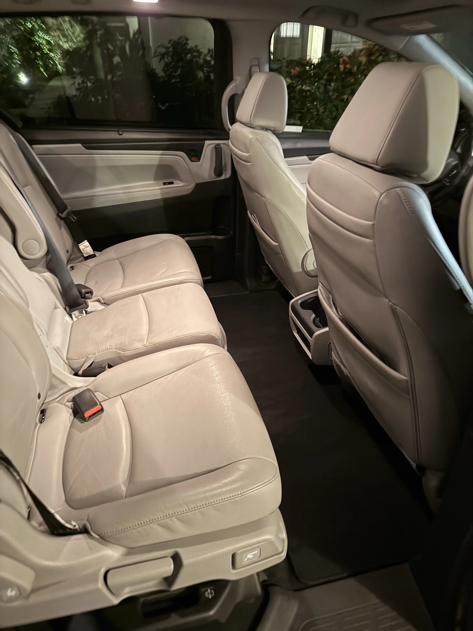 Vehicle rear seats and carpet after pet-hair removal