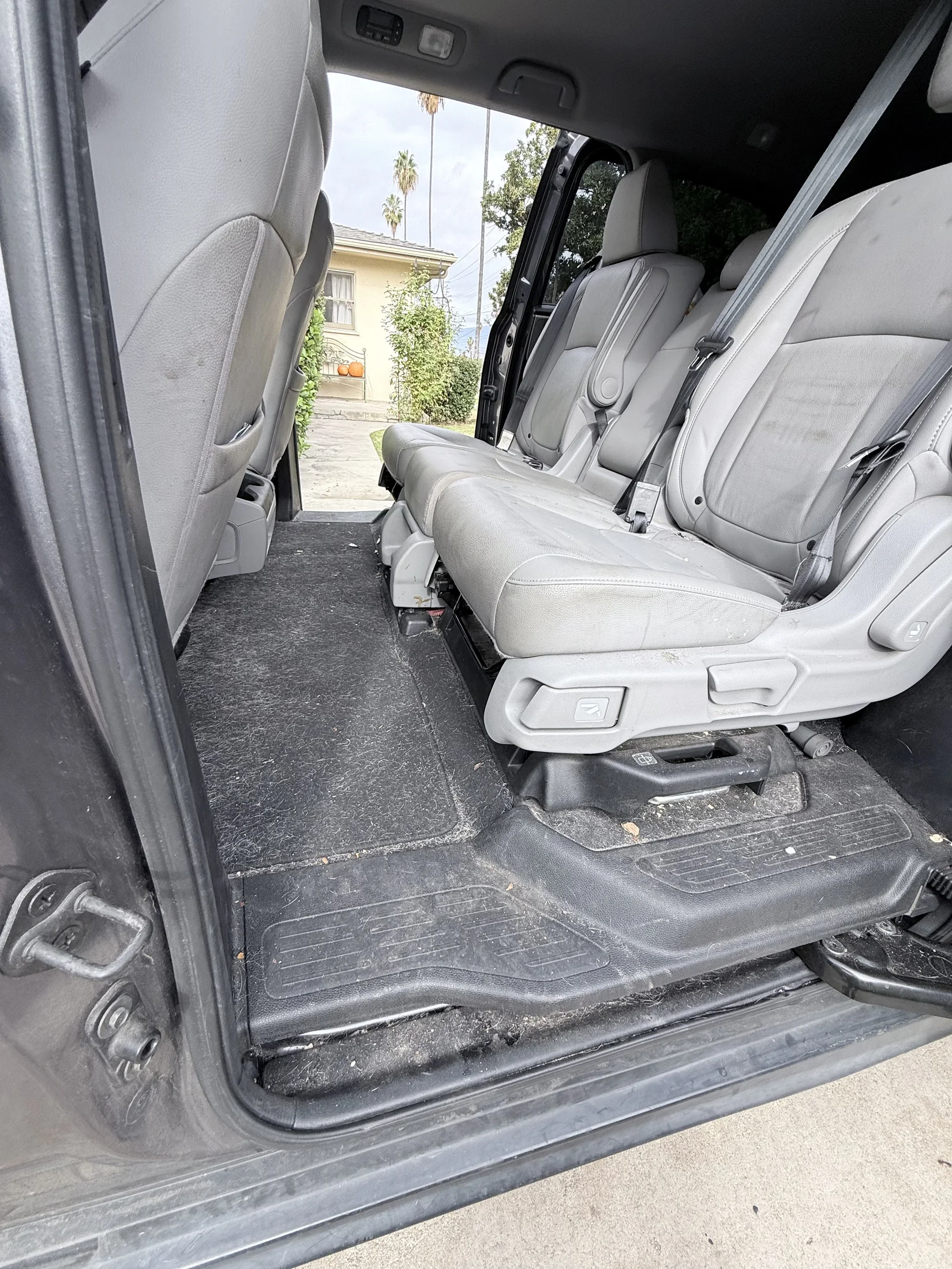 Vehicle rear carpet and seats covered with pet hair before detailing